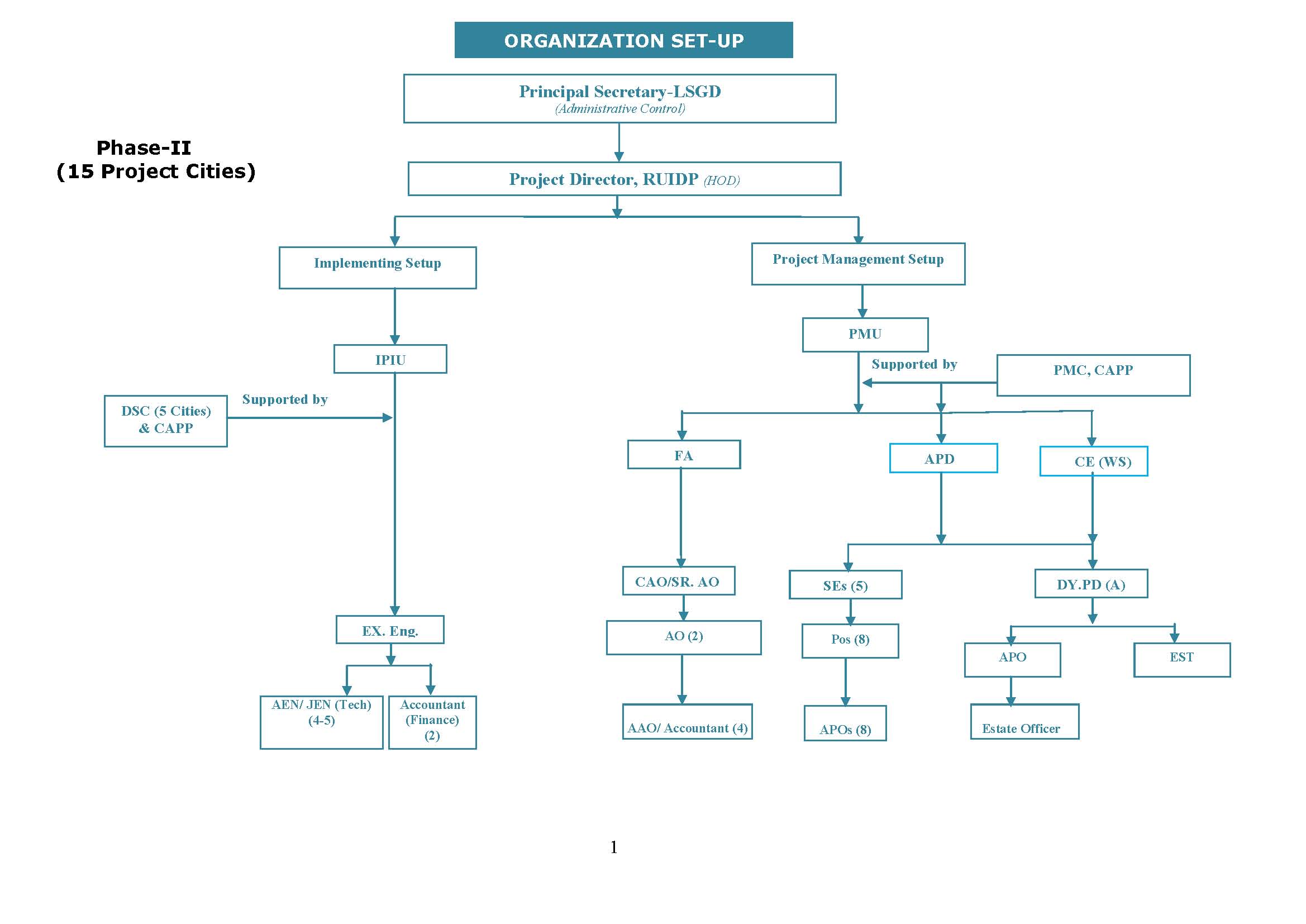 Organization Structure